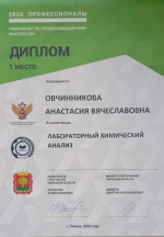 Итоги Регионального этапа чемпионата по профессиональному мастерству «Профессионалы»