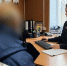 В Долгоруковском районе задержали 60-летнего похитителя бензопилы - Gorod48.ru