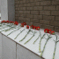 Фото: Воронежский государственный природный биосферный заповедник имени В.М. Пескова - Липецкая ГТРК