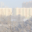 Мороз и солнце в Липецке - Gorod48.ru