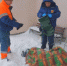 Травмированный мужчина не смог слезть с козырька после падения из окна в Липецке - МОЁ! Липецк