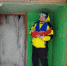 img - ЛДПР