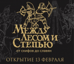 13 февраля в Липецком краеведческом музее откроется выставка «Между лесом и степью. От скифов до славян»