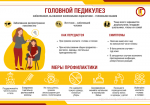О профилактике педикулеза