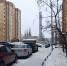 23 февраля в Липецкой области пройдет небольшой снег - Комсомольская Правда