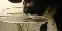 Плановое отключение холодной воды и света 28 февраля, 1 и 2 марта - Город Липецк