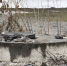 dee910d5-8e22-4e0e-823f-6aca0119add7.jpg+2026-03-03-12.35.04+niz.jpg - Gorod48.ru