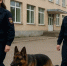 Усманский медколледж оцепили после сообщения о минировании - LipetskNews.Ru