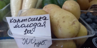 В Липецке уже продают молодой картофель: по 300 рублей за килограмм - Gorod48.ru