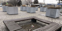 Светлана Бедрова объявила о череде «чистых четвергов» - Gorod48.ru