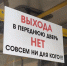 Почему водители липецких «маршруток» сами себе враги? - Gorod48.ru