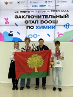 «Химия высоких достижений»: еще два школьника Липецка стали призерами всероссийской олимпиады