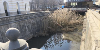 Флагманский проект «Липовка-Воронеж» утонул в канаве - Gorod48.ru