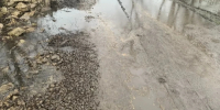 В Данковском округе из-за подъема воды в Дону подтопило низководный мост - Gorod48.ru