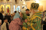 В праздник Входа Господня в Иерусалим, Высокопреосвященнейший Арсений, митрополит Липецкий и Задонский совершил богослужения
