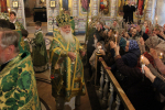 В праздник Входа Господня в Иерусалим, Высокопреосвященнейший Арсений, митрополит Липецкий и Задонский совершил богослужения
