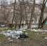 Мэра Липецка и депутатов Горсовета просят подключиться к уборке города - МОЁ! Липецк