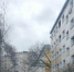 Упавшее дерево повредило окно общежития - Gorod48.ru