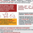 О профилактике ротавирусной инфекции - Роспотребнадзор
