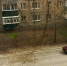 Рухнувшее дерево перекрыл крупную магистраль Липецка - МОЁ! Липецк