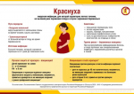 О профилактике краснухи