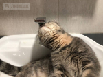 В воскресенье жителей 14 улиц Липецка ждет временное отключение воды