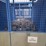 Сортировка мусора помогает ускорить процесс её переработки