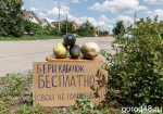 Четыре сезона: как пережить кабачковый апокалипсис