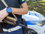 Год и месяц колонии получил личанин за побитого инспектора ДПС