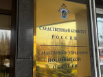 В Липецкой области четверо подростков обвиняются в хулиганстве с применением насилия в отношении несовершеннолетнего