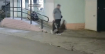 До 5 лет грозит жителю Липецка за кражу велосипеда из подъезда