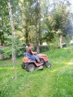 «Зеленхоз» наводит порядок на городских улицах