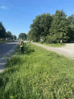 «Зеленхоз» наводит порядок на городских улицах