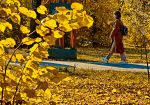 DSC0512412.jpg